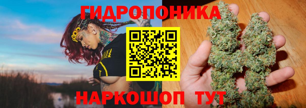 Новый Уренгой  Бошки Шишки Ganja  Марихуана VHQ  Конопля гибрид  Вход с VPN 